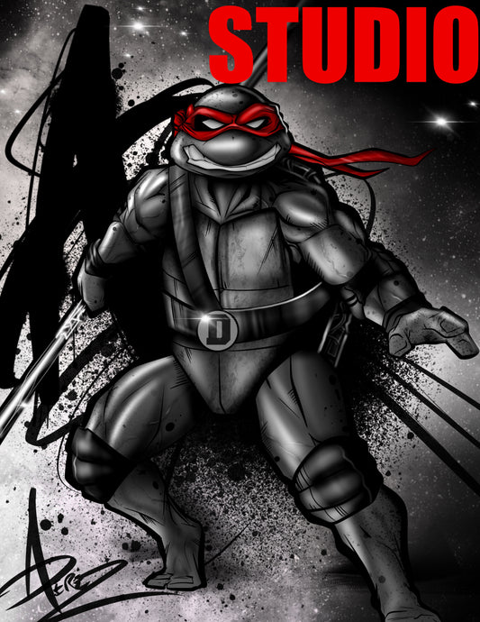 16x20 Canvas Print: TMNT Donnie
