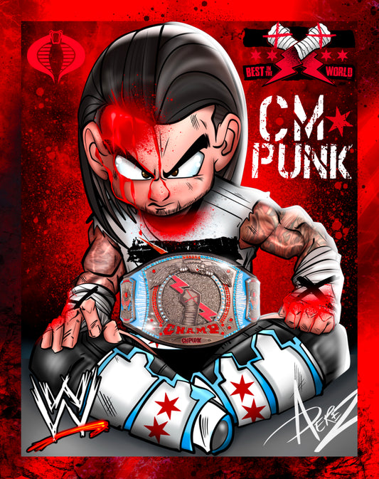 16x20 Canvas Print: WWE -CM PUNK